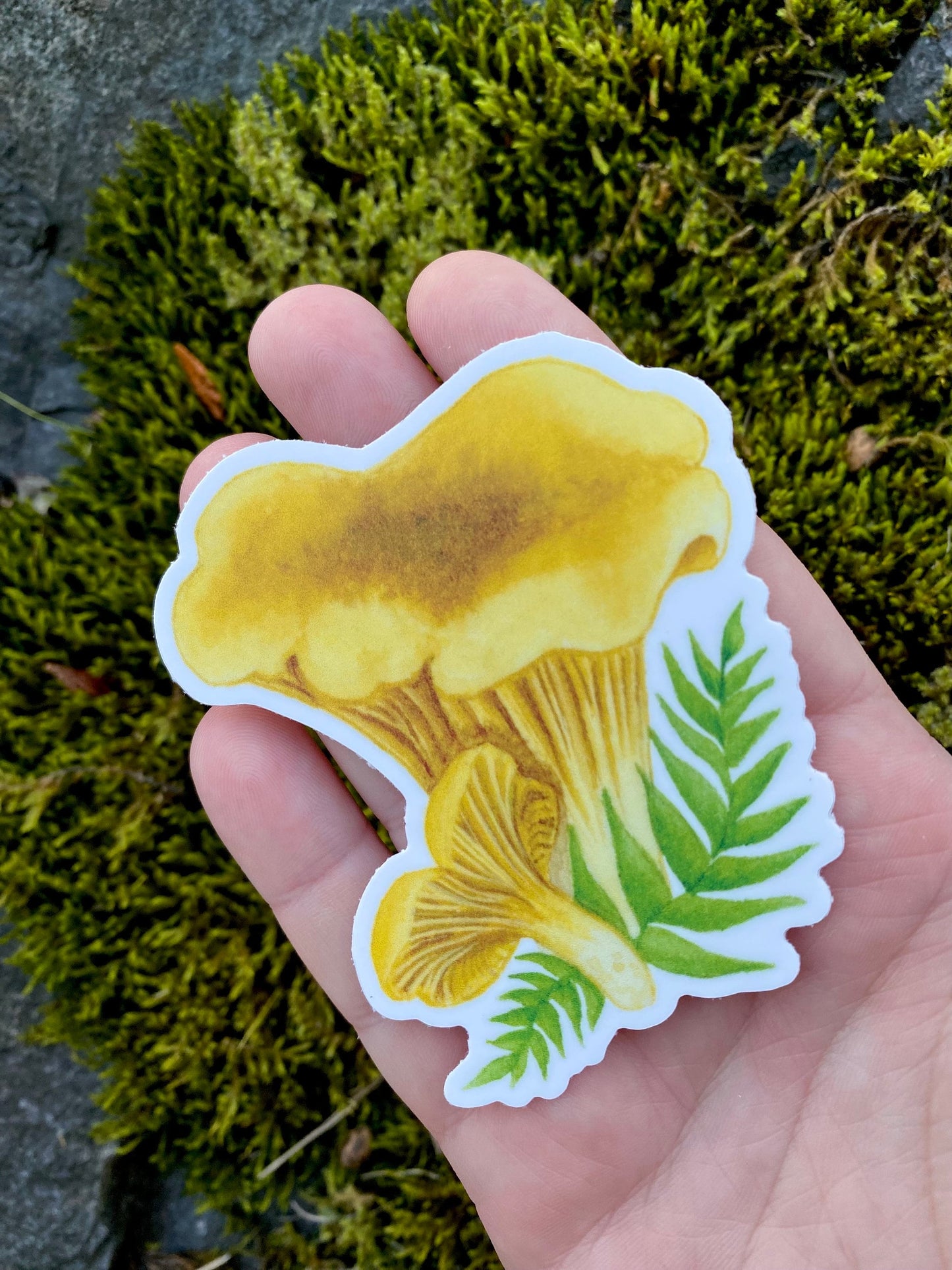 Chanterelle Mushroom Vinyl Sticker