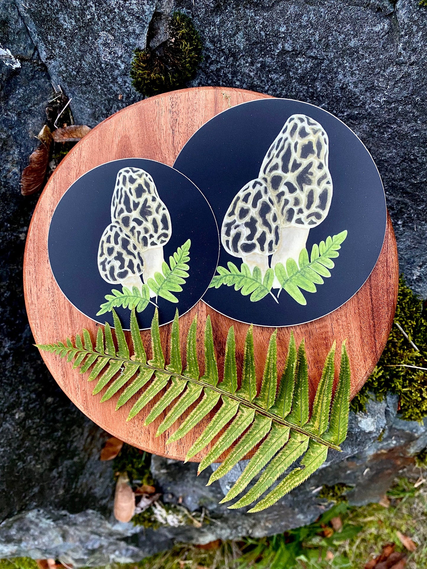 Morel Mushroom Round Vinyl Sticker