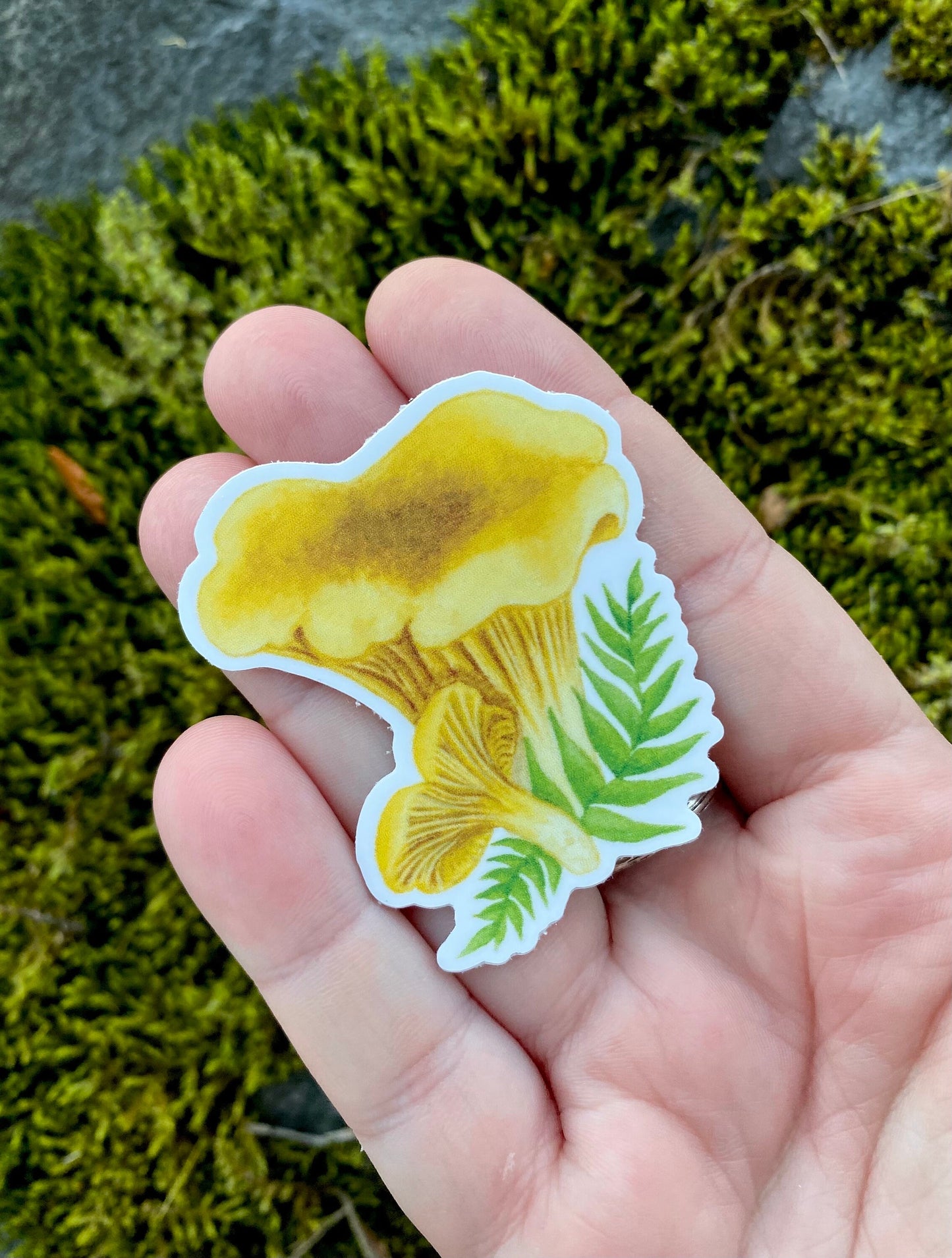 Chanterelle Mushroom Vinyl Sticker
