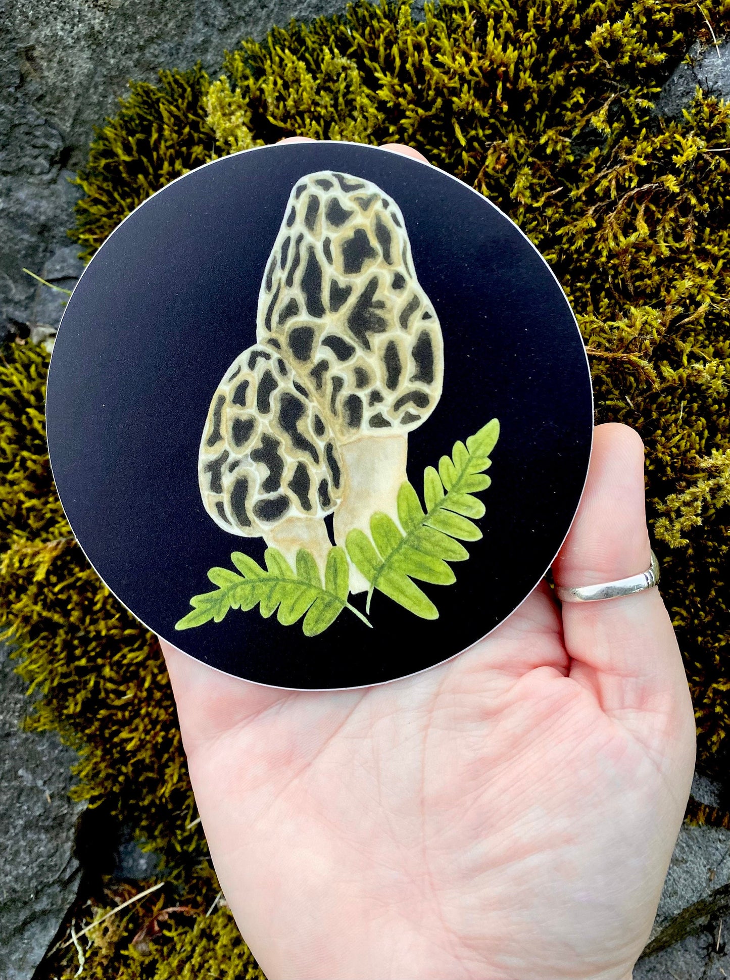 Morel Mushroom Round Vinyl Sticker