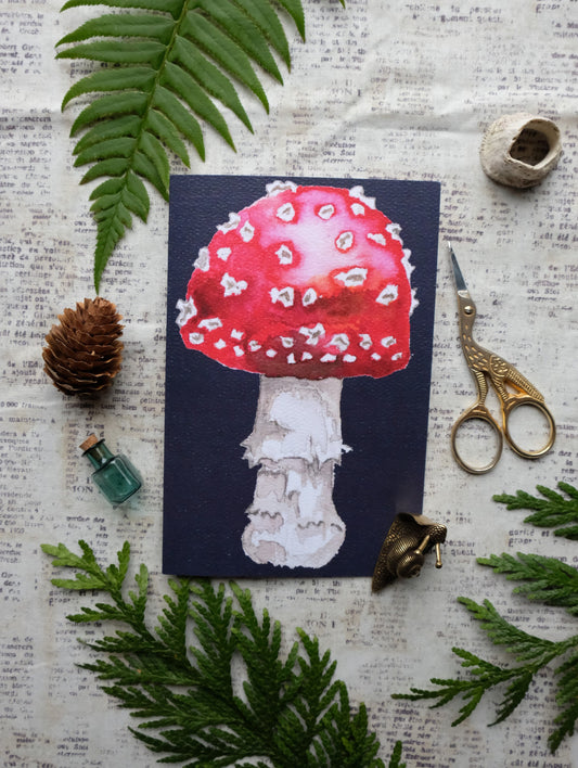 Amanita Mushroom Greeting Card