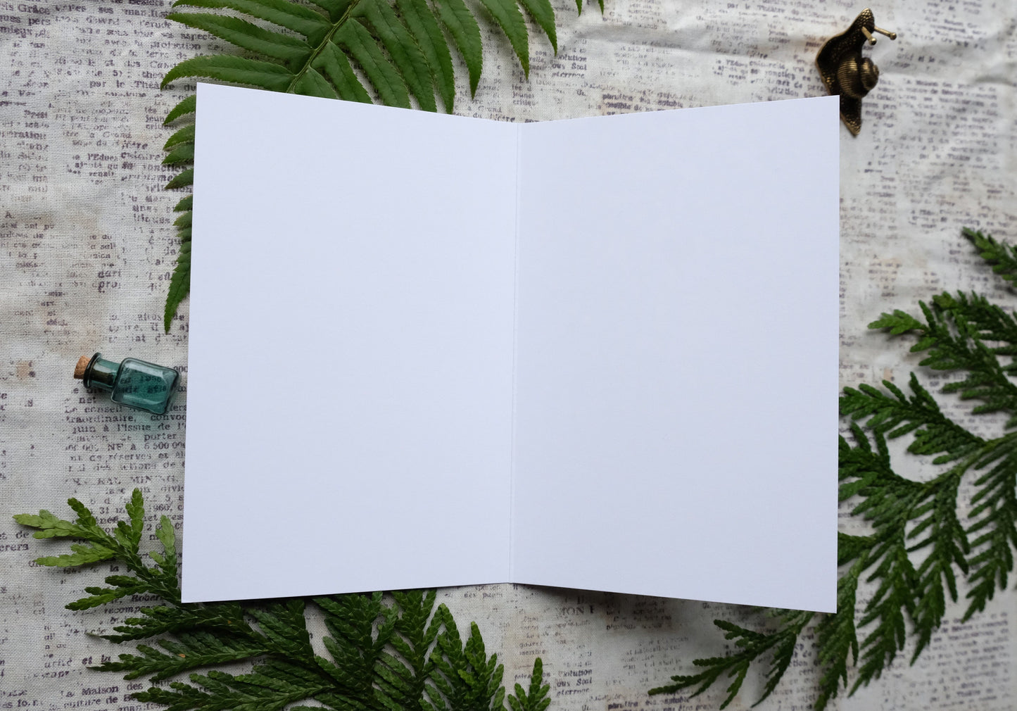 Amanita Mushroom Greeting Card