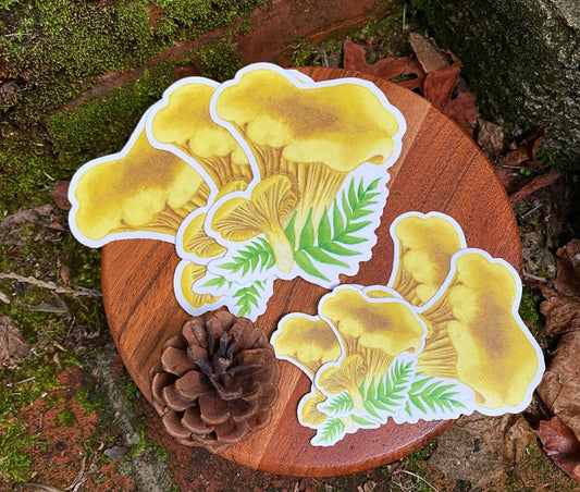 Chanterelle Mushroom Sticker | vinyl waterproof laptop water bottle bumper sticker decal | journaling decoration