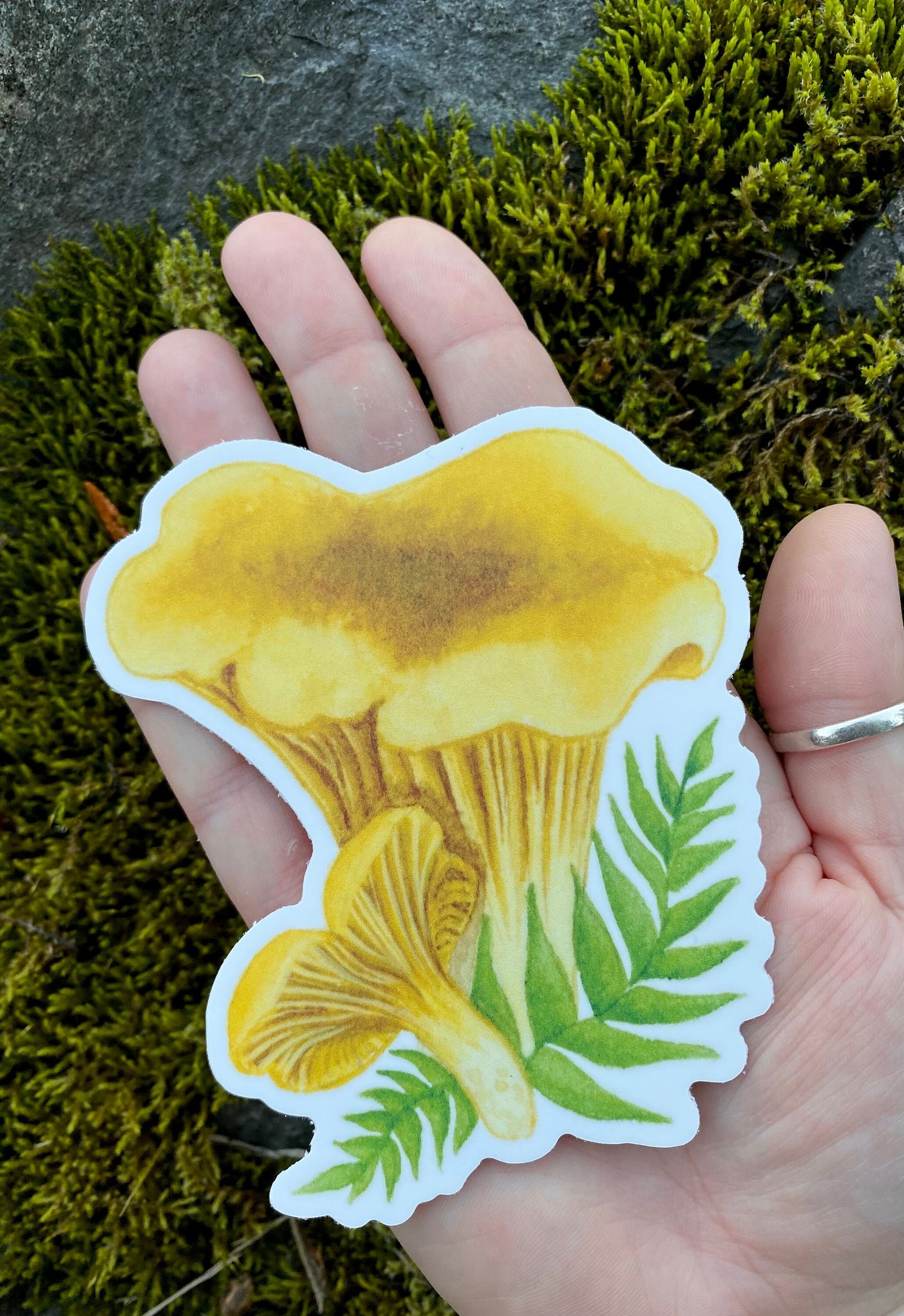 Chanterelle Mushroom Vinyl Sticker