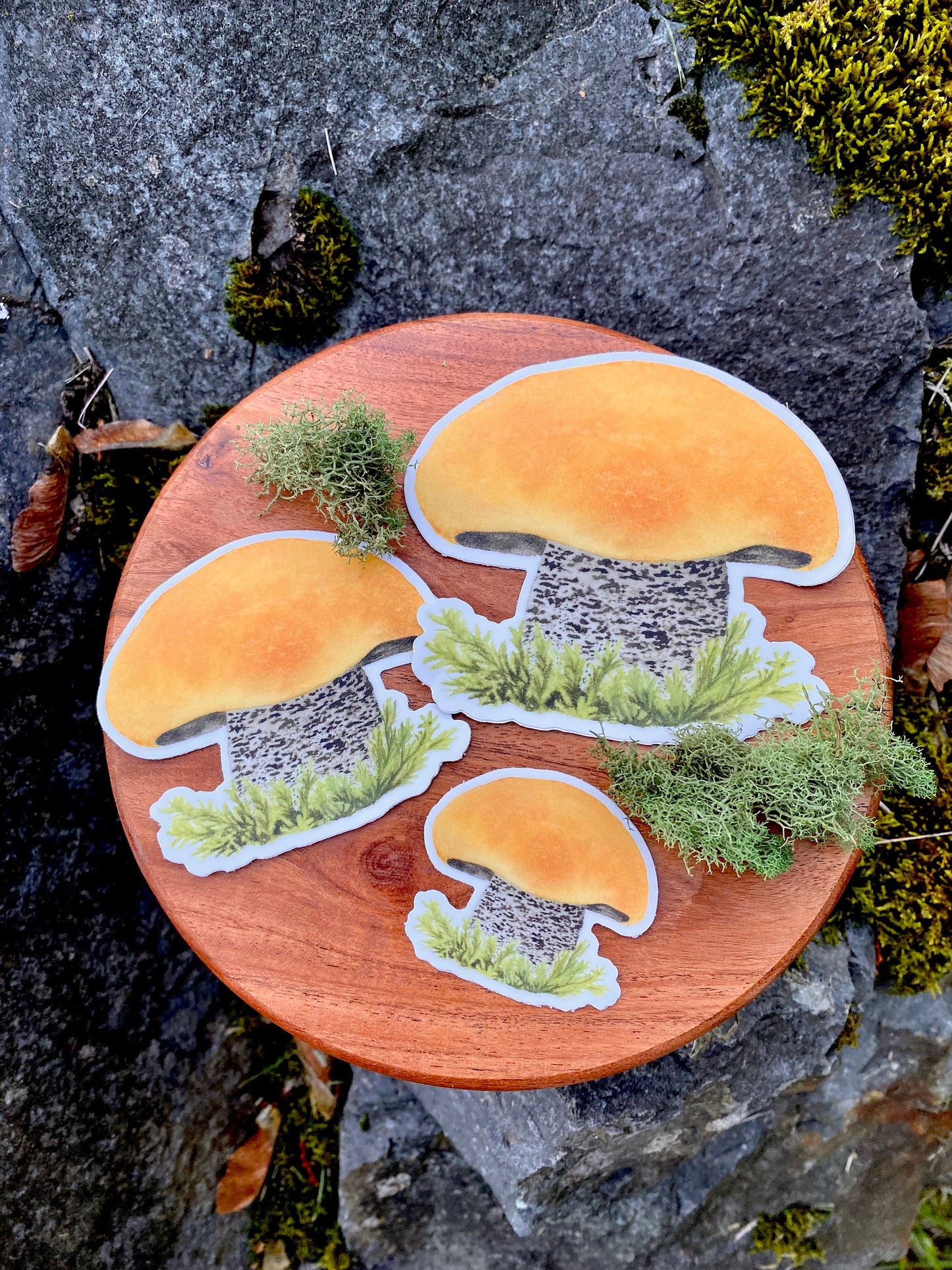 Birch Bolete Vinyl Sticker