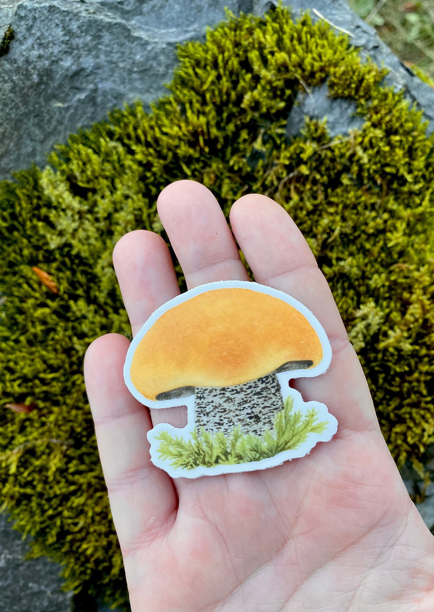 Birch Bolete Vinyl Sticker