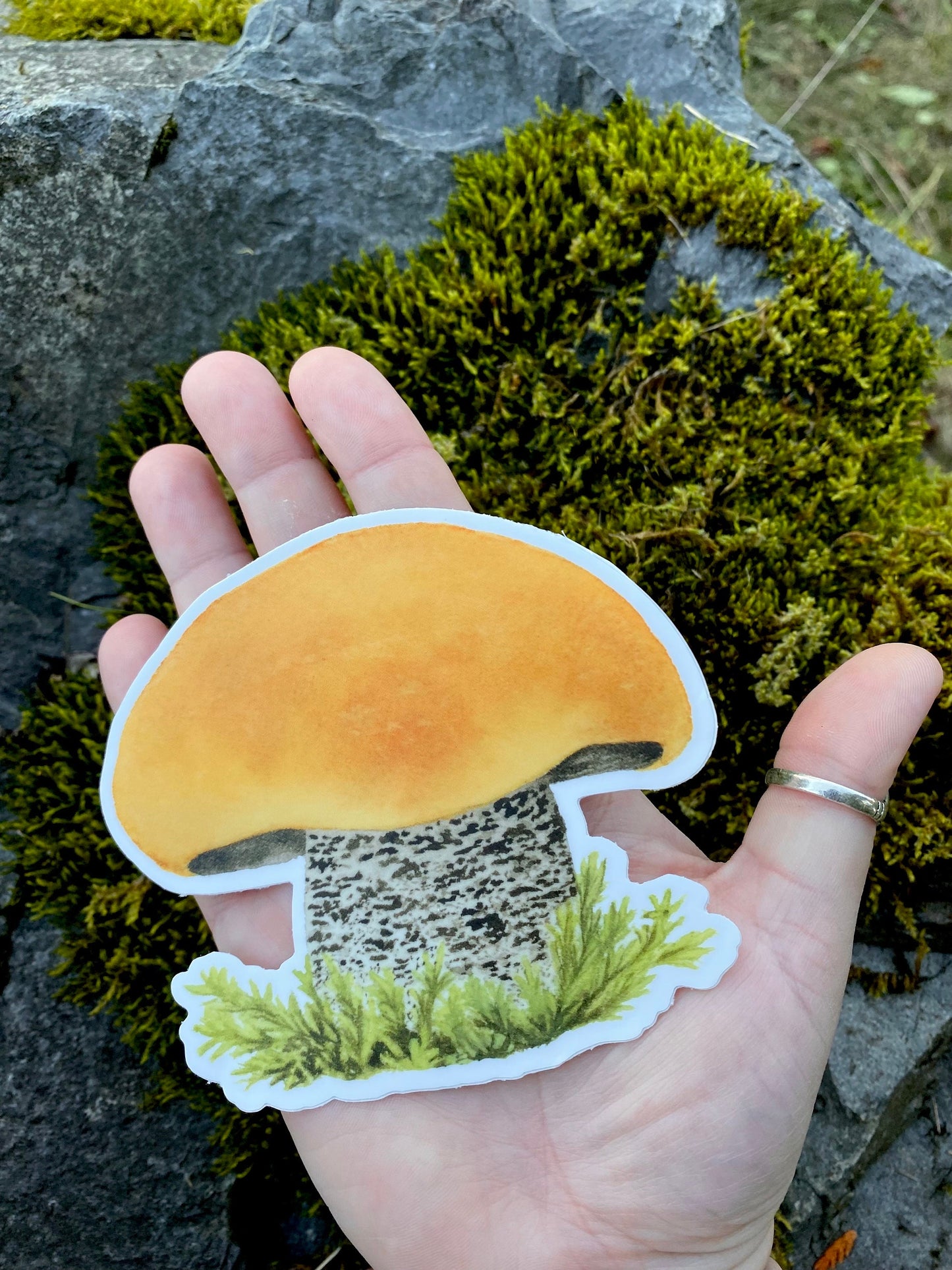 Birch Bolete Vinyl Sticker