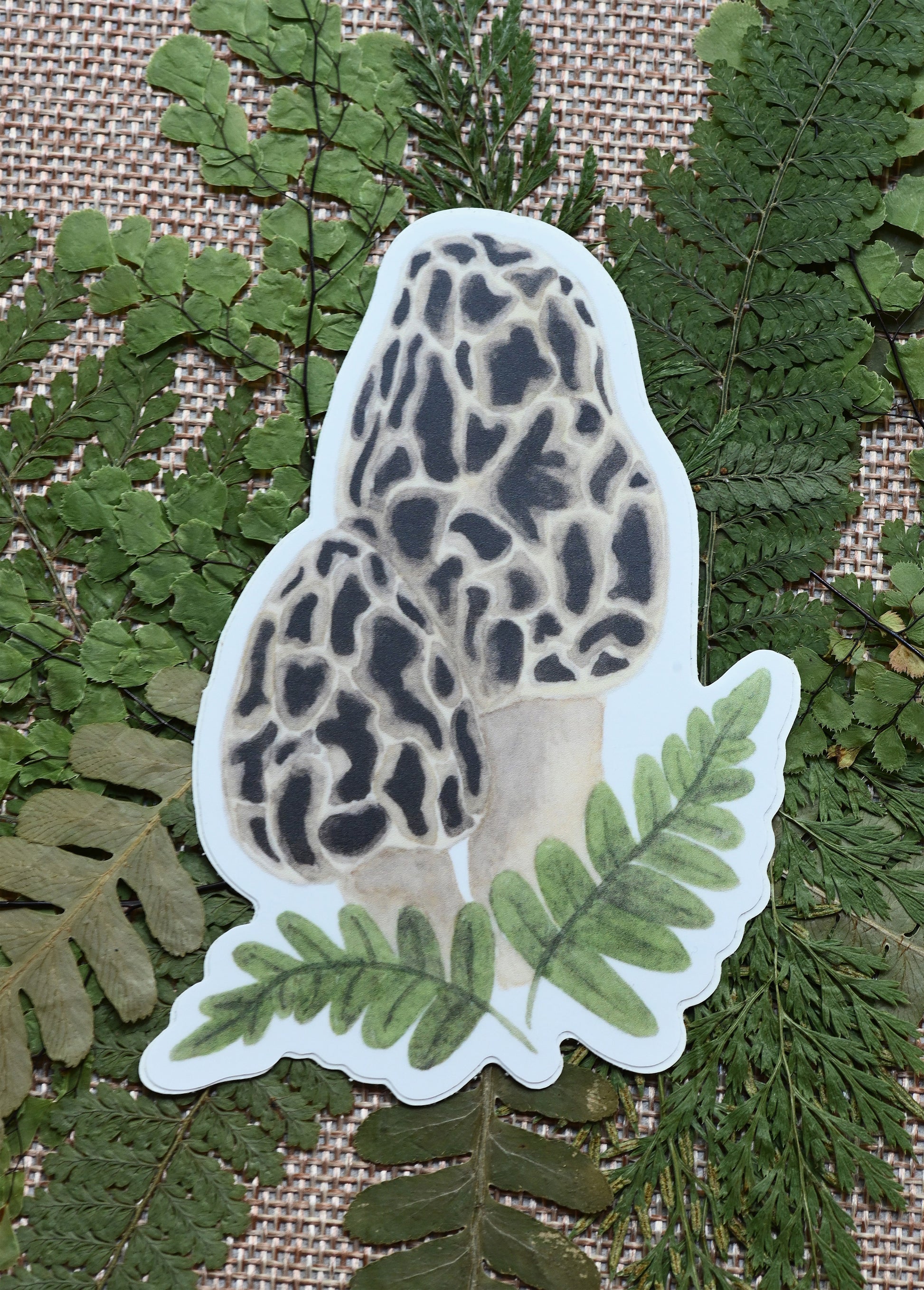 Vinyl sticker with watercolor design of morel mushrooms and ferns