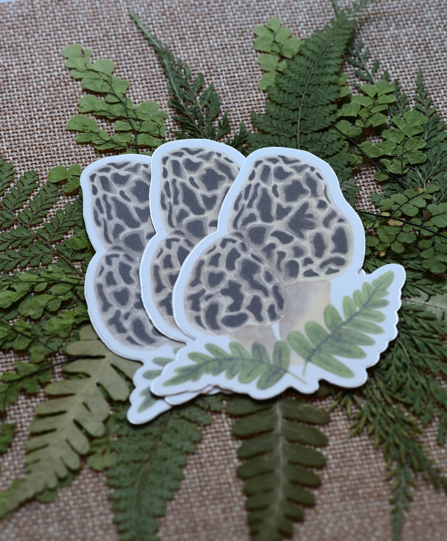 Vinyl sticker pack with watercolor design of brown morel mushrooms with green ferns