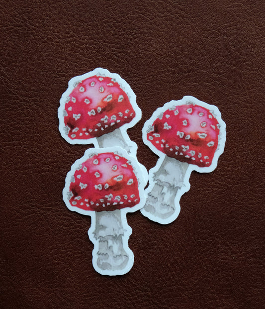 Amanita Mushroom Vinyl Sticker
